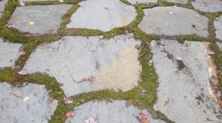 Grey Crab orchard super slabs sample 28