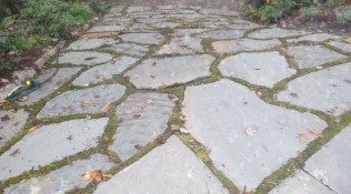 Grey Crab orchard super slabs sample 27